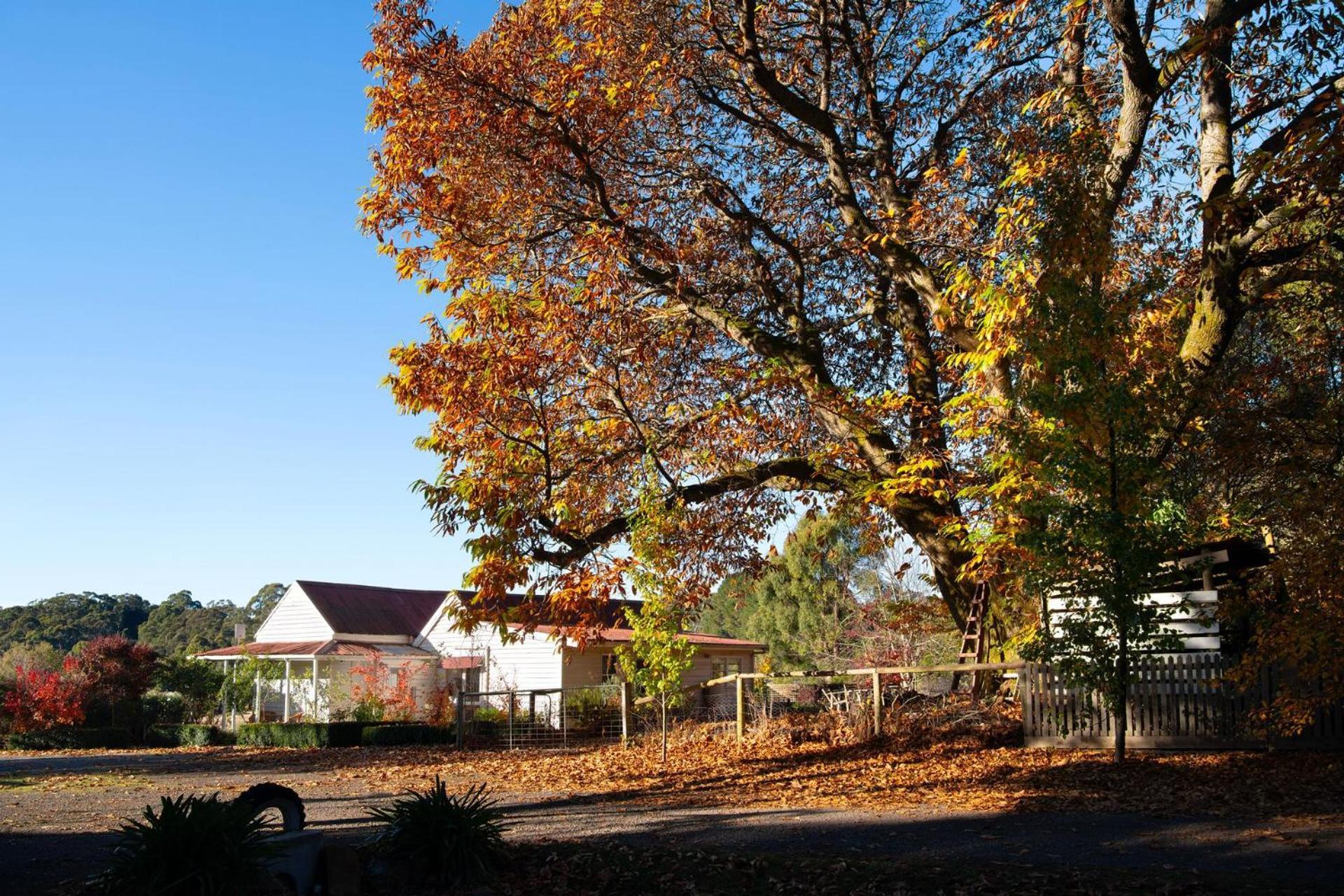 Blacksmiths Cottage Lyonville Exterior photo